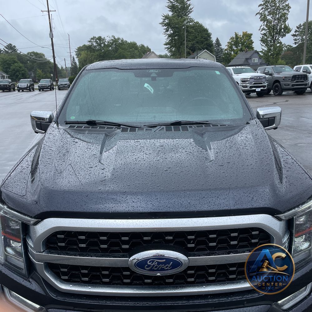 2021 Ford F150 Platinum