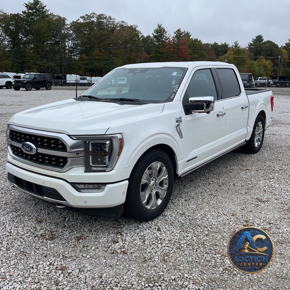 2022 Ford F-150 Platinum
