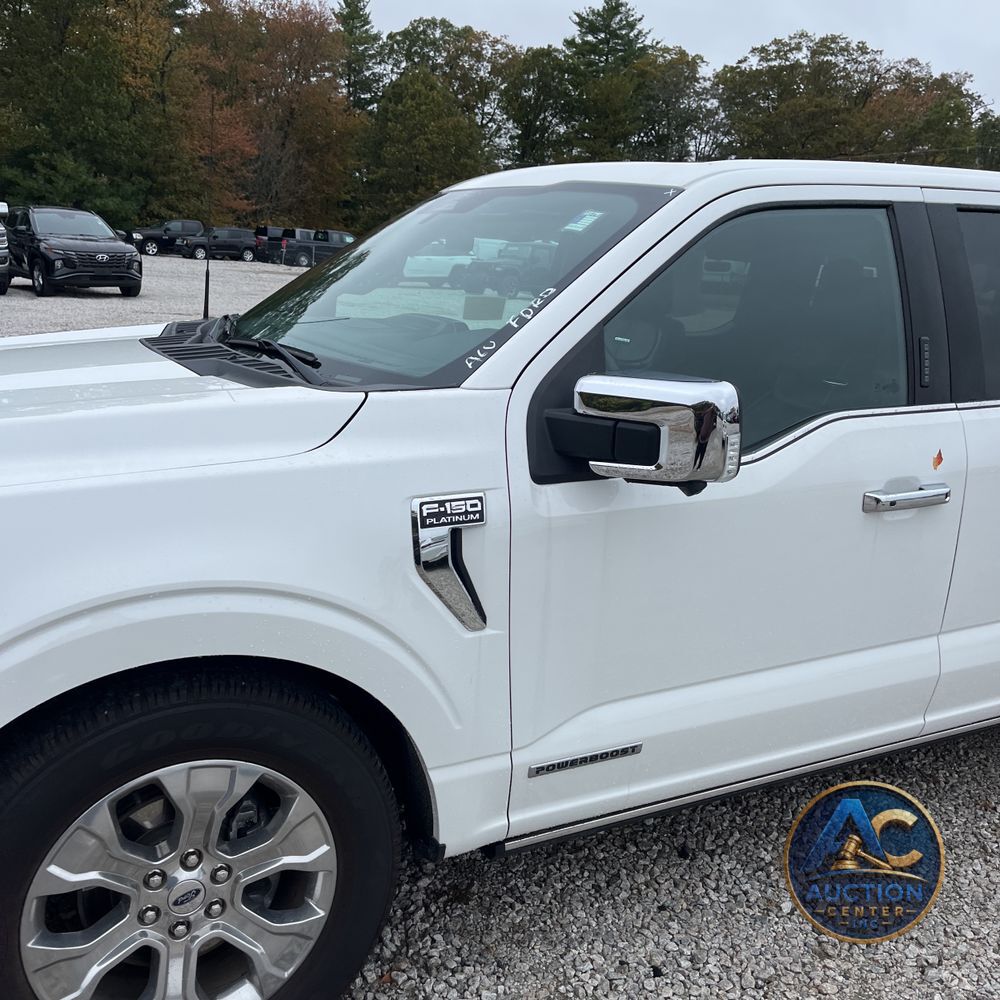 2022 Ford F-150 Platinum