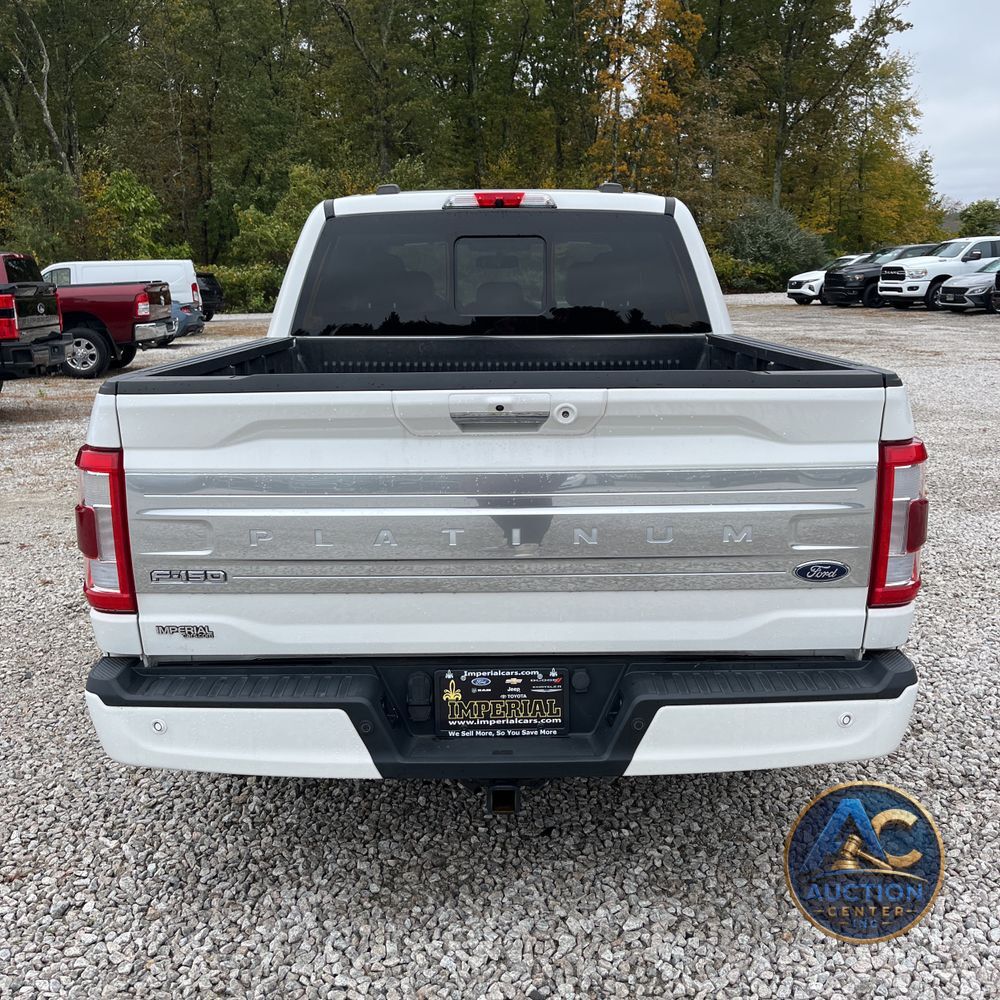 2022 Ford F-150 Platinum
