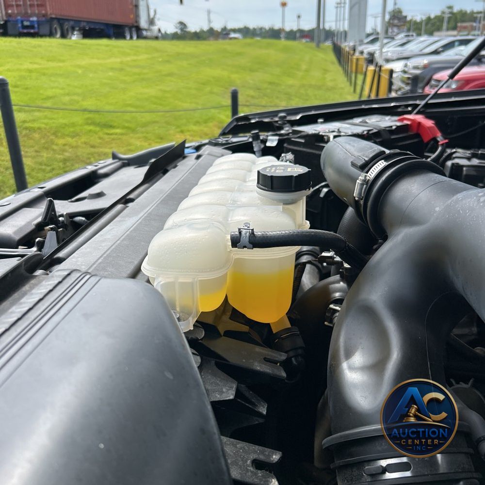 2024 Ford F150 XLT