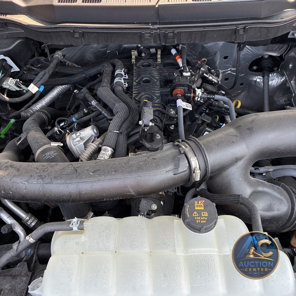 2024 Ford F150 XLT