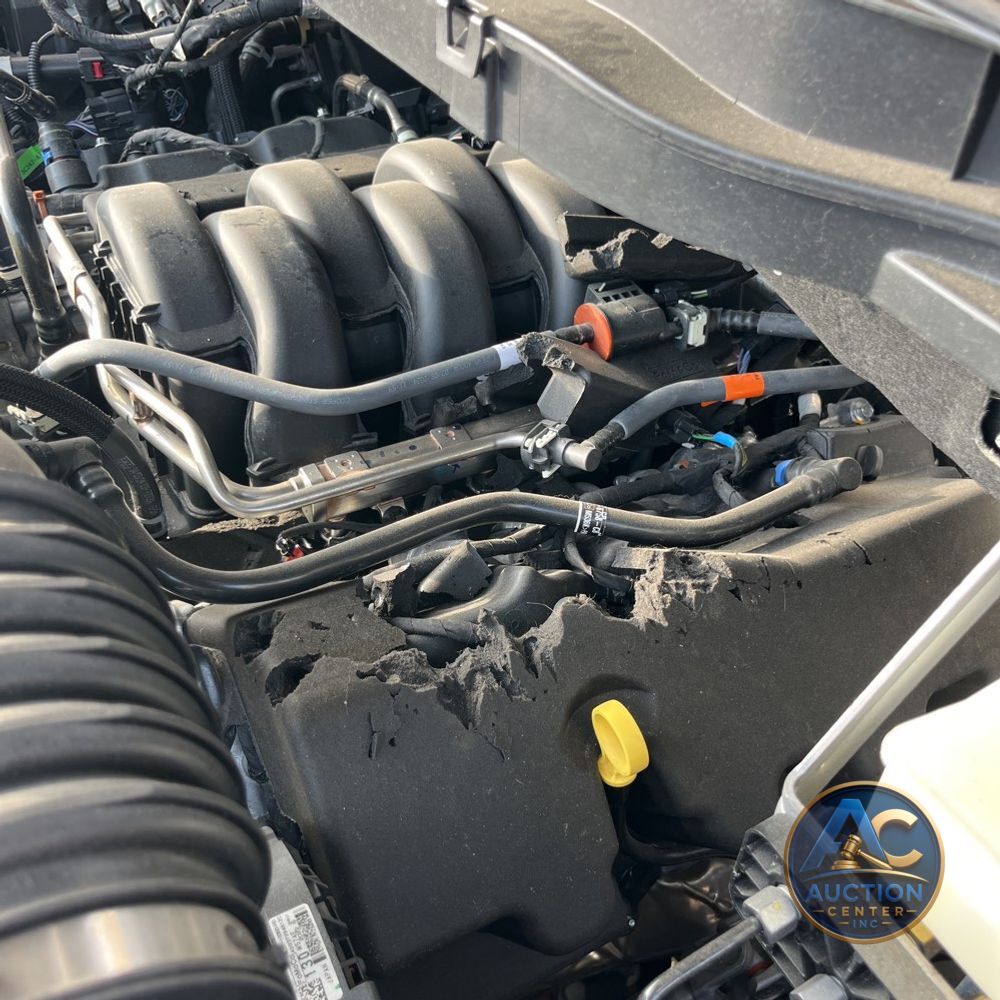 2024 Ford F-150 Tremor
