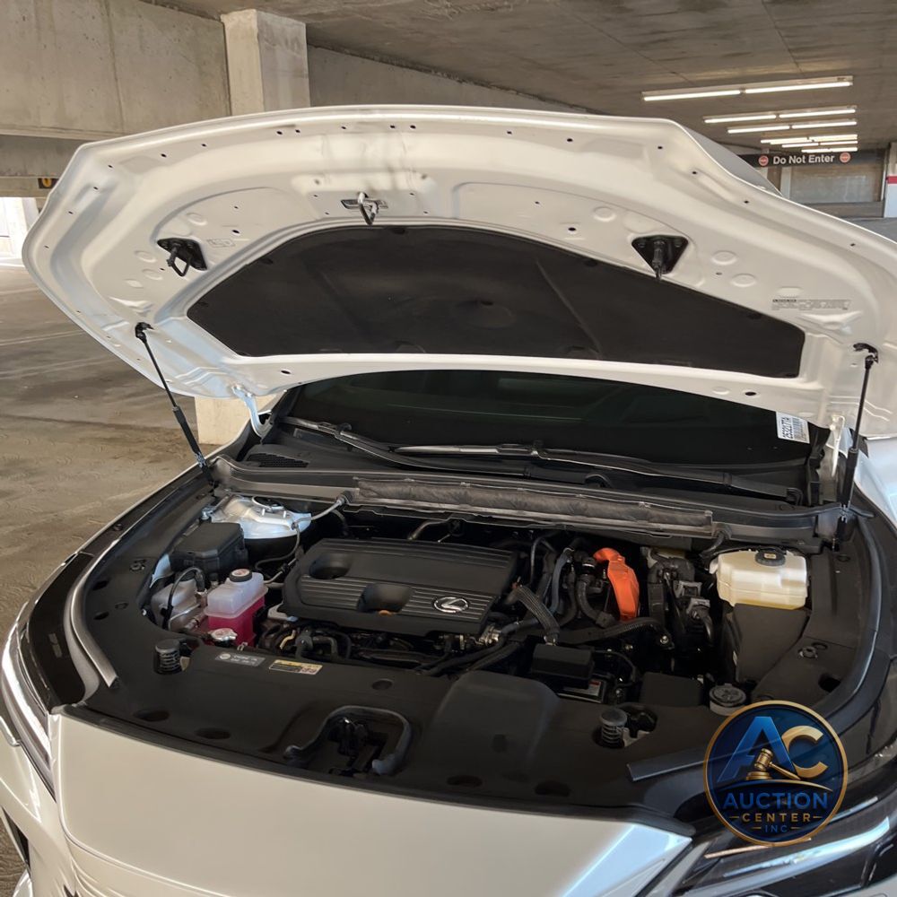 2024 Lexus RX 350h Luxury