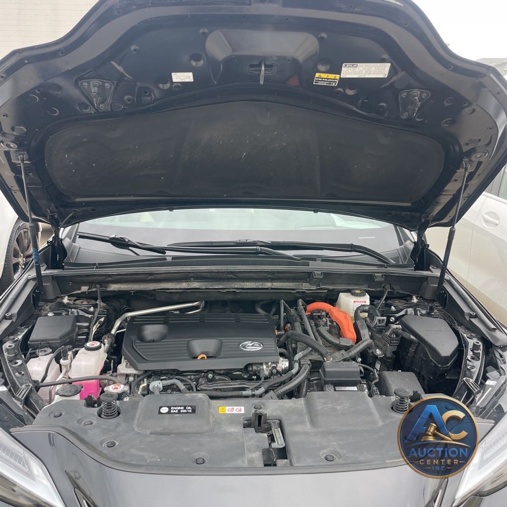2024 Lexus NX 350h Luxury