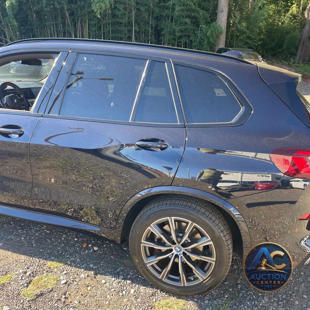 2023 BMW X5 xDrive45e