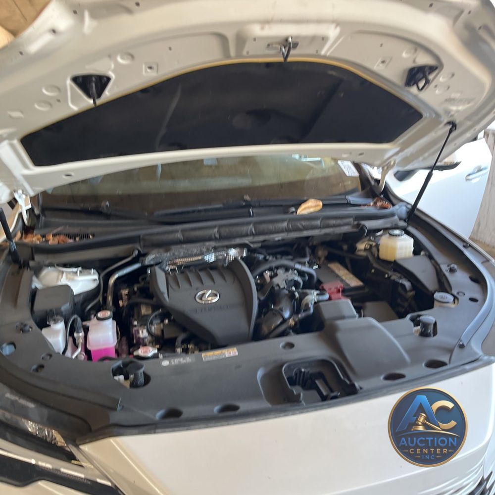 2024 Lexus RX 350 Premium+