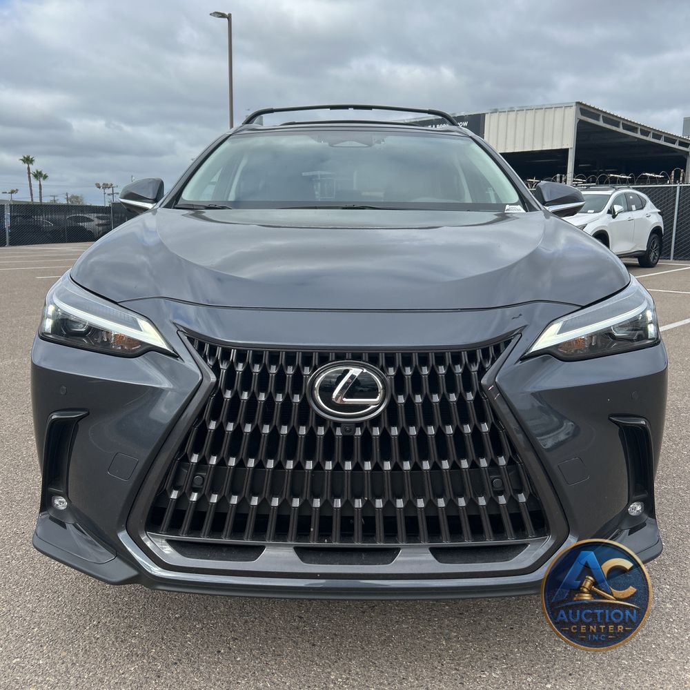 2025 Lexus NX 350h Premium