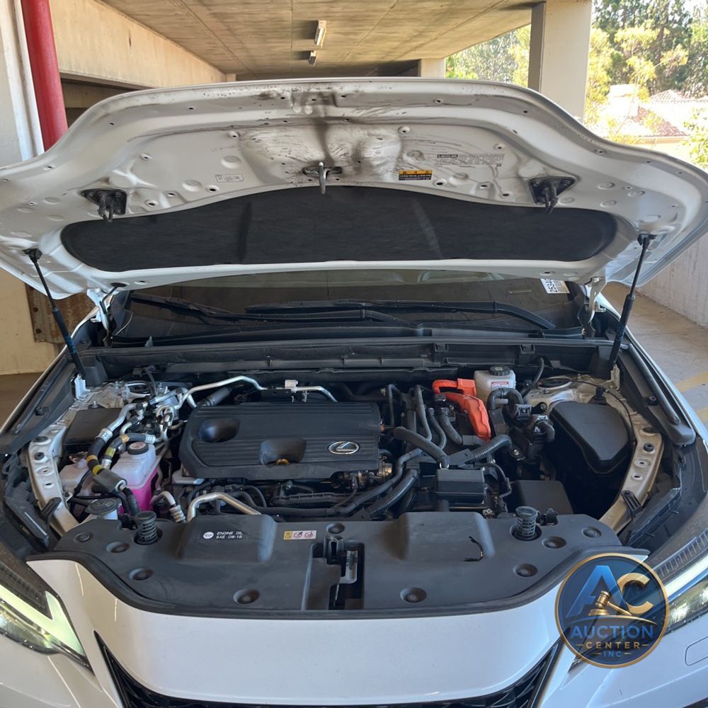 2024 Lexus NX 450h+ F SPORT Handling