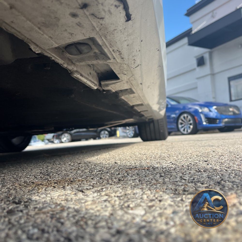2023 Audi S5 Premium Plus